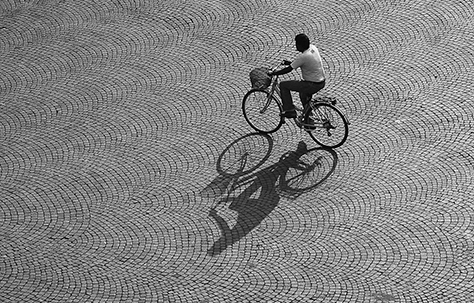 Saverio Tribuzio - Mobility Manager Scolastici Verona